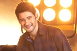 Sara Ali Khan, Mahesh Babu and Sara Ali Khan, mahesh babu getting bollywood beauty for his next, Sarileru neekevvaru