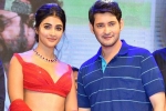 Pooja Hegde with Trivikram, Pooja Hegde next movie, mahesh babu all set to romance pooja hegde again, Maharshi