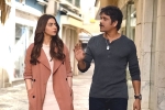 Manmadhudu 2 rating, Manmadhudu 2 rating, manmadhudu 2 movie review rating story cast and crew, Manmadhudu 2 Manmadhudu 2 rating, Manmadhudu 2 rating, manmadhudu 2 movie review rating story cast and crew, Manmadhudu 2