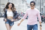 Manmadhudu 2, Rahul Ravindran, manmadhudu 2 trailer is packed with entertainment, Manmadhudu 2 Manmadhudu 2, Rahul Ravindran, manmadhudu 2 trailer is packed with entertainment, Manmadhudu 2