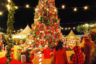 NEMA Christmas 2018 NEMA Christmas 2018