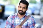 Kalyanram, NTR Arts, official ntr s next film locked, Sardar gabbar singh