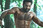 Ramaraju for Bheem review, RRR updates, ramaraju for bheem ntr s deadly transformation as komaram bheem, Best actors