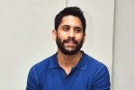 Naga Chaitanya upcoming movies, Naga Chaitanya news, change of plans for naga chaitanya, Romantic comedy