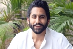 Naga Chaitanya about life, Naga Chaitanya news, naga chaitanya makes interesting comments, Sobhita dhulipala Naga Chaitanya about life, Naga Chaitanya news, naga chaitanya makes interesting comments, Sobhita dhulipala