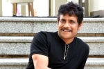 Nagarjuna next film, Nagarjuna new projects, nagarjuna s 100th film will be a multi starrer, Nagarjuna 100th film Nagarjuna next film, Nagarjuna new projects, nagarjuna s 100th film will be a multi starrer, Nagarjuna 100th film