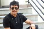 Nagarjuna upcoming projects, Nagarjuna new movie, nagarjuna s 100th film locked, Bangarraju