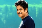 Nagarjuna and Rashmika Mandanna cameos, Nagarjuna and Rashmika Mandanna updates, nagarjuna s surprise in dhanush s film, Sekhar kammula