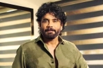 Nagarjuna Personal Rights breaking, Nagarjuna Personal Rights Delhi Court, delhi high on nagarjuna s personal rights, Karan johar
