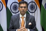 mea on pakistan, mea statement, mea naya pakistan with naya soch should show naya action against terrorist groups, Jem masood azhar