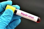 Nipah Virus - Kozhikode, suspected Nipah Virus, nipah virus is back again two deaths registered, Kerala