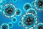 Omicron variant, Omicron Tollywood upcoming, omicron fear for tollywood, Coronavirus india