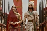 Shahid Kapoor, Padmaavat news, padmaavat first weekend collections, Padmaavat