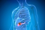 Pancreatic Cancer advise, Pancreatic Cancer health, how to protect yourself from pancreatic cancer, Yoga
