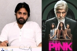 Pawan Kalyan comeback film, Pawan Kalyan remake, powerstar in talks for pink remake, Pink remake