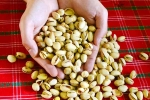 Pistachios rich in proteins, Pistachios in proteins, pistachios are a perfect protein snack, Ios 18 updates