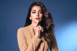 Pooja Hegde next films, Pooja Hegde next films, pooja hegde lines up bollywood films, Bollywood films Pooja Hegde next films, Pooja Hegde next films, pooja hegde lines up bollywood films, Bollywood films