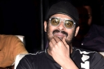 Prabhas and Maruthi Film launch, Prabhas and Maruthi Film shooting news, prabhas next film launched, A maruthi film