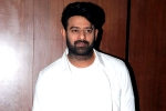 Prabhas movie budget, Maruthi, two beauties locked to romance prabhas, A maruthi film
