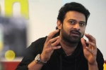 Prabhas and Sree Leela, Prabhas and Sree Leela, two young beauties in talks for prabhas next, Pelli sandad Prabhas and Sree Leela, Prabhas and Sree Leela, two young beauties in talks for prabhas next, Pelli sandad