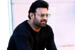 Prabhas25 producer, Radhe Shyam, prabhas to offer a new treat for his fans, Prabhas25