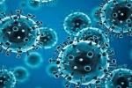 R.1 Coronavirus updates, Coronavirus USA, r 1 variant of coronavirus traced in 35 countries, Mutants