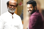 Kannada Ratna, Rajinikanth and NTR updates, rajinikanth and ntr coming for kannada rajyotsava, Puneeth rajkumar
