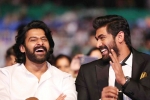 rana daggubati wife, rana daggubati, prabhas was the pillar of baahubali says rana daggubati, Housefull 4 rana daggubati wife, rana daggubati, prabhas was the pillar of baahubali says rana daggubati, Housefull 4