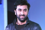 Ranbir Kapoor latest, Ranbir Kapoor updates, ranbir kapoor s cameo in srk s next, Ae dil hai mushkil