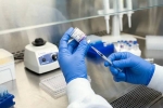 New Ebola Outbreak vaccine, New Ebola Outbreak vaccine, russia claims breakthrough vaccine against new ebola outbreak, South africa
