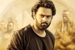 Shraddha Kapoor, Saaho latest, saaho first week telugu collections, Evelyn sharma