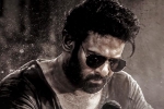 Prithviraj Sukumaran, Salaar 2 budget, new update from salaar 2, Prashanth neel