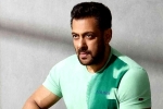 Salman Khan or Acharya, Salman Khan Acharya, salman khan coming for chiranjeevi and charan, Lucifer remake