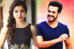 Samantha news, Samantha, samantha and akhil to clash in august, Bollywood films Samantha news, Samantha, samantha and akhil to clash in august, Bollywood films