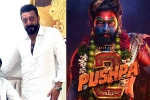 Pushpa: The Rule release news, Pushpa: The Rule Sanjay Dutt, sanjay dutt s surprise in pushpa the rule, Running