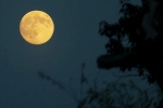 Supermoon 2025 decoded, Supermoon 2025 latest breaking, science behind supermoon explained, Supermoon 2025