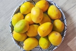 Soak Mangoes health experts, Soak Mangoes before eating, soak mangoes for 30 minutes before eating, Technology