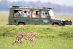 South African Safari Trip list, South African Safari Trip total days, how to plan your south african safari trip, South africa