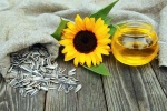 Sunflower seeds health benefits, Sunflower seeds breaking, sunflower seeds and their nutritional benefits, Healthy breakfast Sunflower seeds health benefits, Sunflower seeds breaking, sunflower seeds and their nutritional benefits, Healthy breakfast
