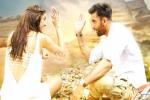 Tamasha collections, Tamasha talk, tamasha three days collections, Bombay velvet