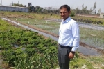 national centre of organic farming recruitment, types of organic farming, this u s return mba graduate is transforming a village barren land into an organic farming facility, Family business