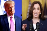 US Presidential Polls latest breaking, Donald Trump, ai predictions on us presidential polls, Eagle