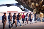 USA Illegal Immigrants news, USA Illegal Immigrants 2025, usa arrests over 500 illegal immigrants, Preview
