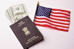 Green Card, Permanent Residency, work permit of h1b visa holder s spouses will be refused, H1b visa