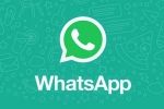 WhatsApp Native iPad App news, WhatsApp Native iPad App, whatsapp s native ipad app to release soon, Whatsapp beta