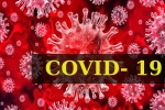 Coronavirus, Dr Tedros Adhanom Ghebreyesus, who renames the deadly coronavirus as covid 19, Swine flu Coronavirus, Dr Tedros Adhanom Ghebreyesus, who renames the deadly coronavirus as covid 19, Swine flu