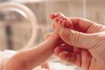 born issues for premature  babies, Risks for premature babies, premature birth may up osteoporosis risk in adulthood, Premature babies