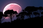 super pink moon, super pink moon, april s super pink moon to rise today biggest of the year, Super pink moon