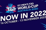 T20 World Cup 2022 updates, T20 World Cup 2022, icc announces the schedule for t20 world cup 2022, Adelaide