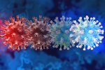 Coronavirus, C.1.2 variant updates, latest coronavirus variant evades vaccine protection, Mauritius